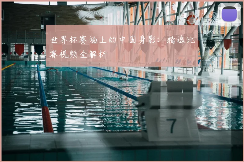 世界杯赛场上的中国身影：精选比赛视频全解析