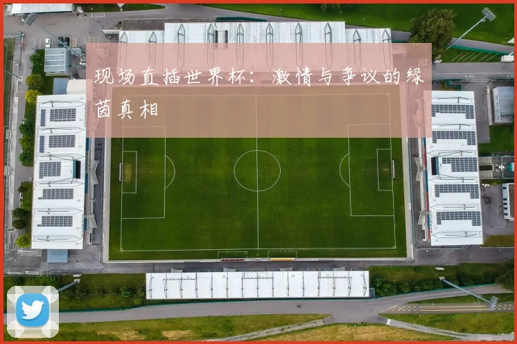 现场直插世界杯:激情与争议的绿茵真相