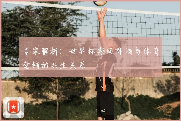 专家解析:世界杯期间啤酒与体育营销的共生关系