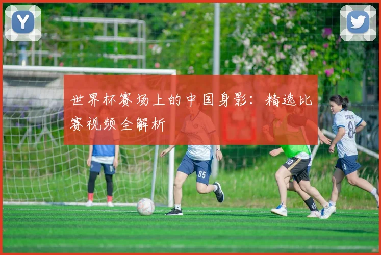 世界杯赛场上的中国身影：精选比赛视频全解析