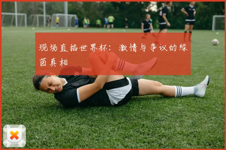 现场直插世界杯:激情与争议的绿茵真相